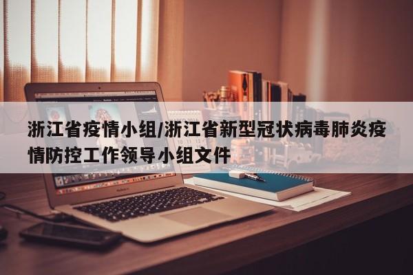 浙江省疫情小组/浙江省新型冠状病毒肺炎疫情防控工作领导小组文件