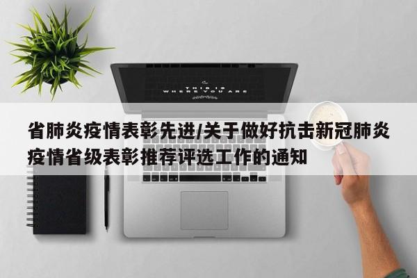 省肺炎疫情表彰先进/关于做好抗击新冠肺炎疫情省级表彰推荐评选工作的通知